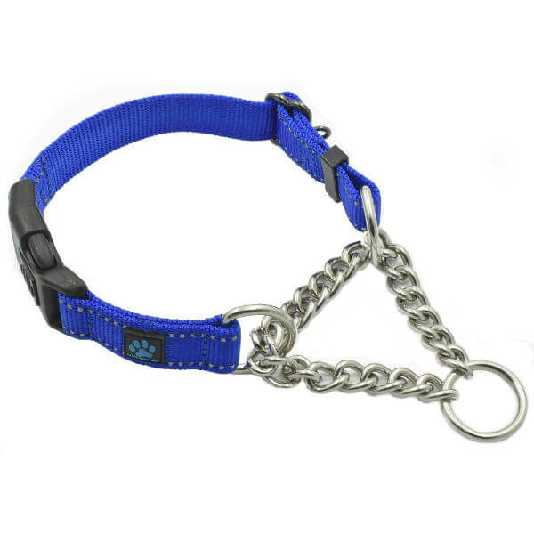 blue_chain_martingale_collar