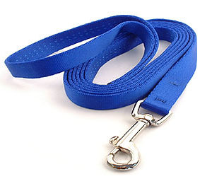 blue-nylon-lead-dogs