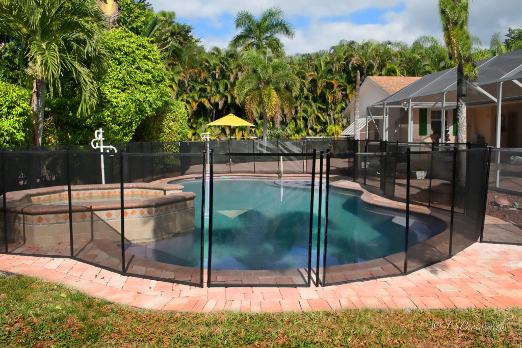 West Palm Dog swimming pool